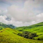 Lush greenery along the Netravati River trek