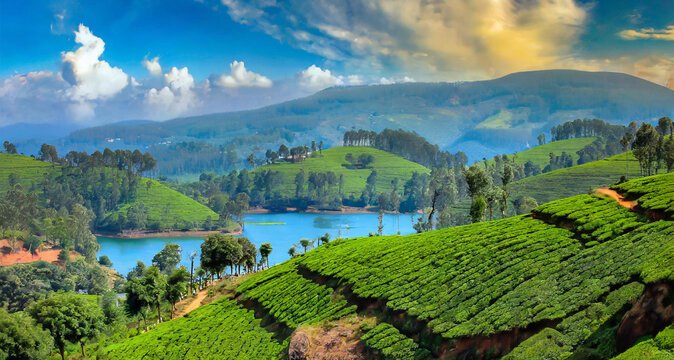 Hyderabad to Chennai Tour Package