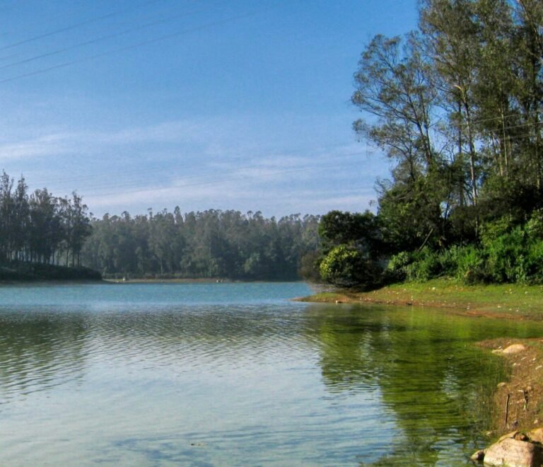 Hyderabad to Chirala Tour Package